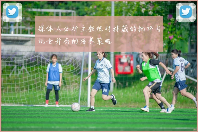媒体人分析主教练对林葳的批评与机会并存的培养策略